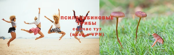синтетический гашиш Волосово